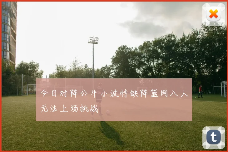今日对阵公牛小波特缺阵篮网八人无法上场挑战