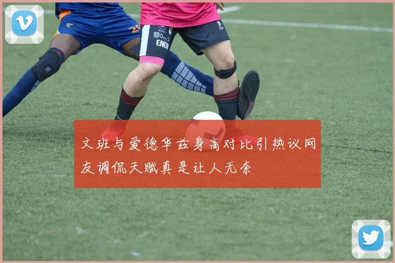 文班与爱德华兹身高对比引热议网友调侃天赋真是让人无奈